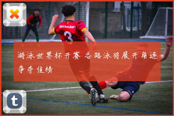 游泳世界杯开赛 各路泳将展开角逐争夺佳绩