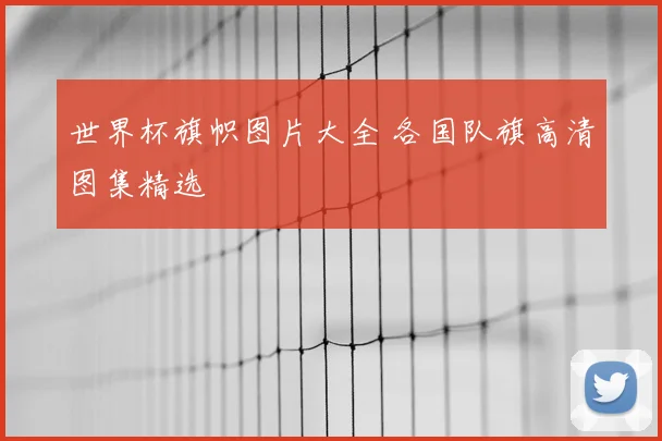 世界杯旗帜图片大全 各国队旗高清图集精选
