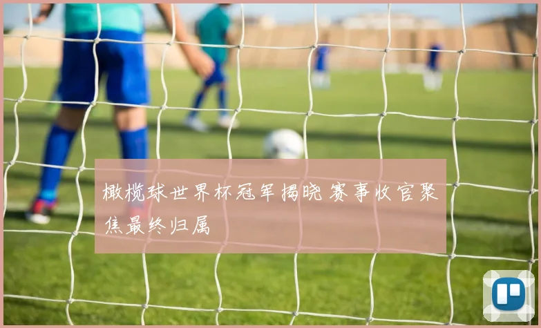 橄榄球世界杯冠军揭晓 赛事收官聚焦最终归属