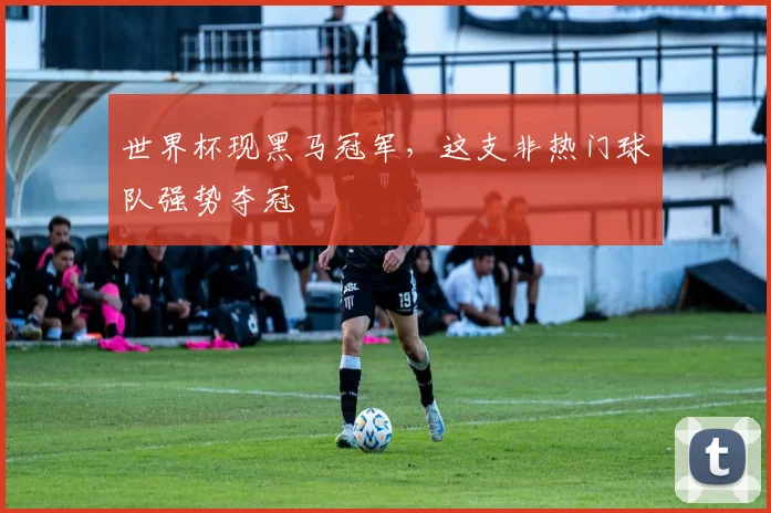 世界杯现黑马冠军,这支非热门球队强势夺冠