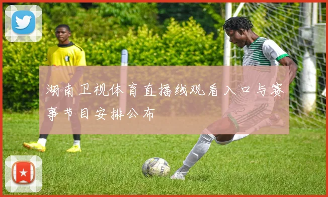 湖南卫视体育直播线观看入口与赛事节目安排公布